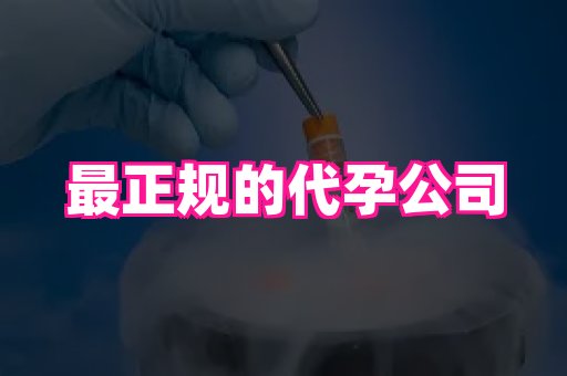 厦门助孕网站 4